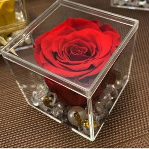 Preserved Rose